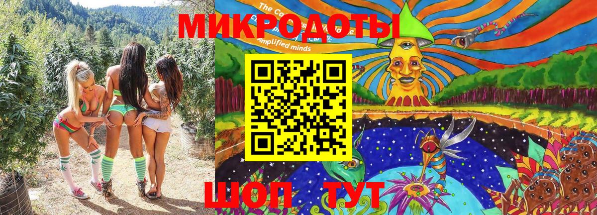 Псилоцибиновые грибы мицелий Тольятти